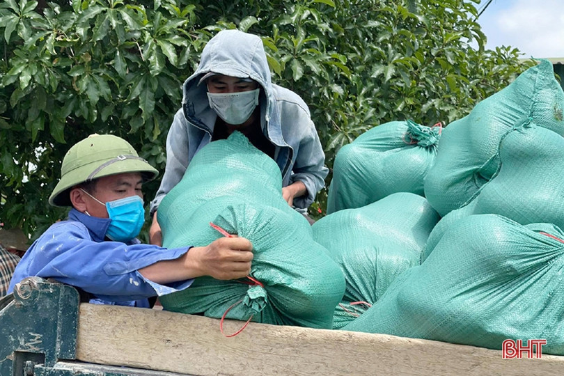 Hơn 30 tấn dưa của thôn cách ly chống dịch Covid-19 ở Hà Tĩnh chờ...“giải cứu”!