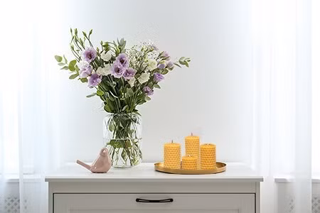 Các cách loại bỏ khí hại Formaldehyde trong nhà