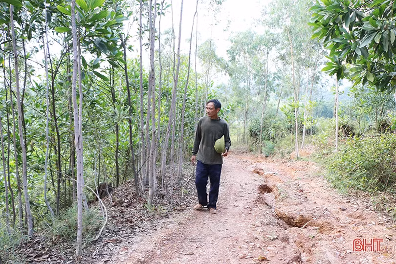 Cho những cánh rừng thêm xanh!