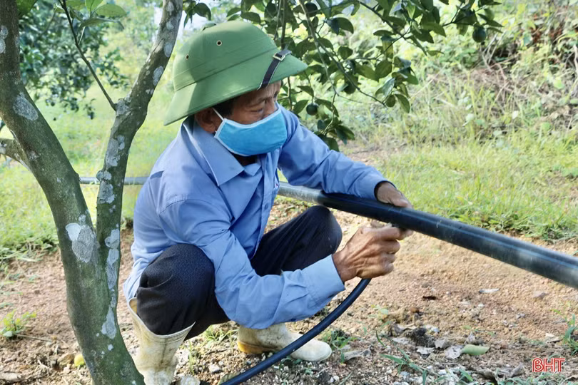 Nông dân Vũ Quang chủ động chống hạn cho hơn 2.600 ha cam