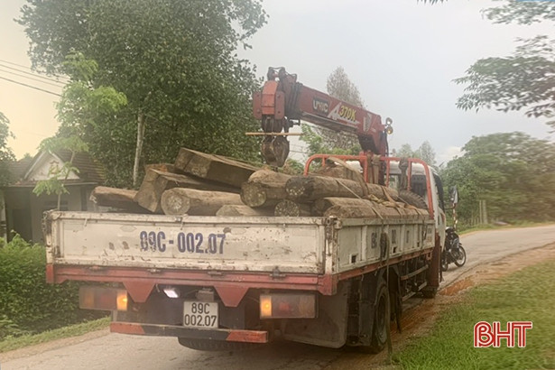 Phát hiện thêm hơn 2m<sup>3</sup> gỗ lậu trong nhà dân ở Hương Khê