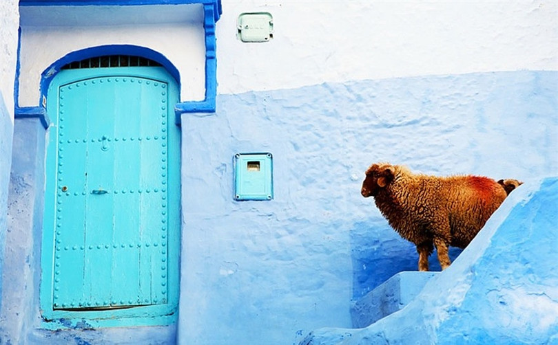 Ngắm thị trấn được sơn toàn màu xanh đẹp như trên thiên đường