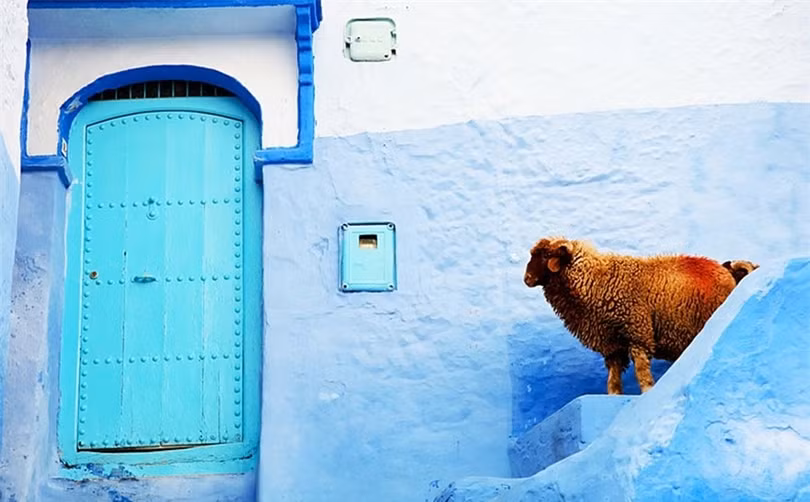 Ngắm thị trấn được sơn toàn màu xanh đẹp như trên thiên đường