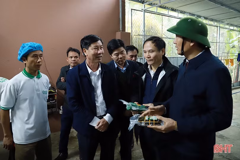 Tiếp tục phát triển sản xuất, hoàn thành các tiêu chí NTM nâng cao 