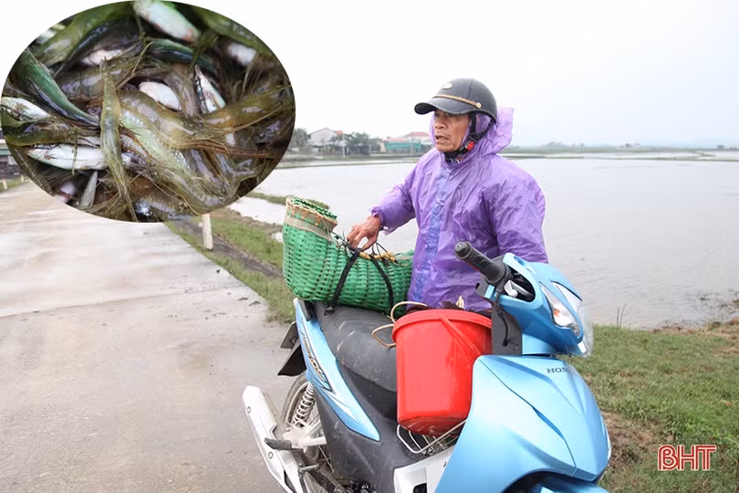 Bịt kín người khi ra đường vẫn co ro trong cái rét dưới 15 độ C ở Hà Tĩnh