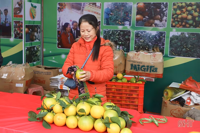 Lễ hội Cam và sản phẩm nông nghiệp Hà Tĩnh: “Giờ G” đã điểm