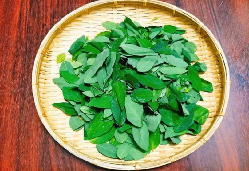 Những người tuyệt đối không nên ăn rau ngót