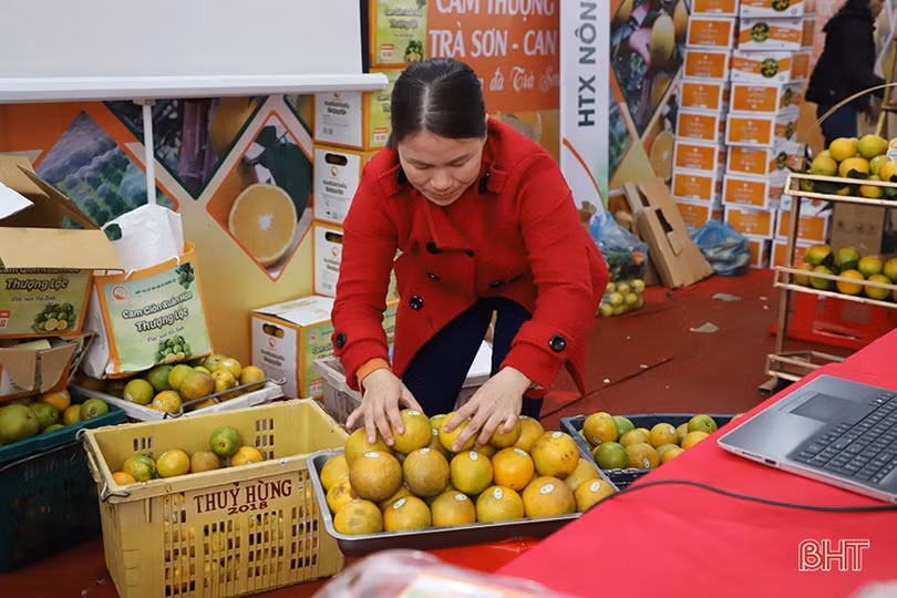 Lễ hội Cam và sản phẩm nông nghiệp Hà Tĩnh: “Giờ G” đã điểm