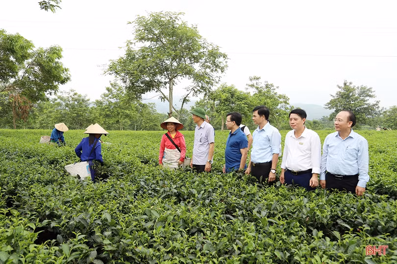 Thủ tướng phê duyệt đề án thí điểm xây dựng tỉnh Hà Tĩnh đạt chuẩn nông thôn mới