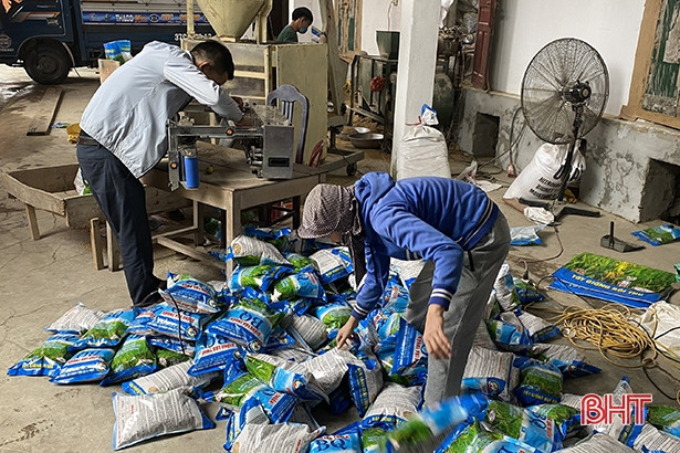 Đảm bảo chất lượng giống lúa cho sản xuất vụ xuân ở Hà Tĩnh