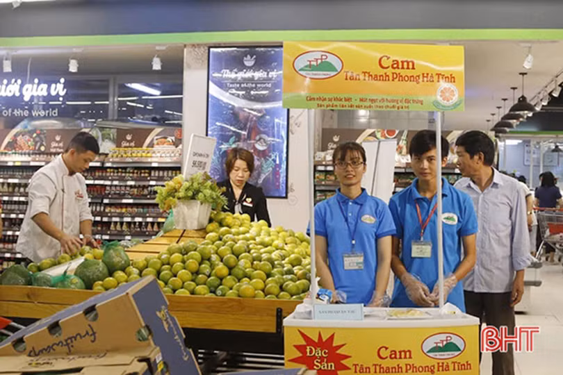 Công phu xây dựng sản phẩm cam Hà Tĩnh