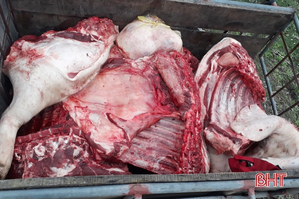 Mua lợn chết ở Can Lộc về xẻ thịt bán cho các cơ sở sản xuất giò chả
