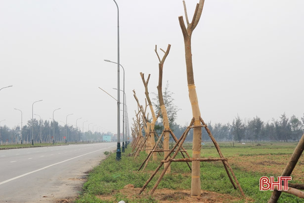 Gần 4 tỷ đồng tạo điểm nhấn cảnh quan trung tâm huyện Lộc Hà