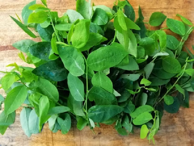 Những người tuyệt đối không nên ăn rau ngót