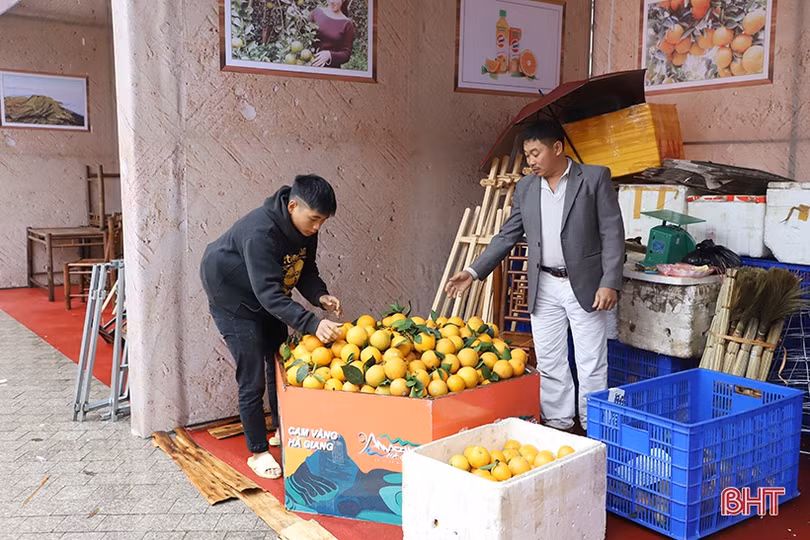 Lễ hội Cam và sản phẩm nông nghiệp Hà Tĩnh: “Giờ G” đã điểm