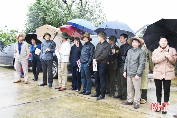 Trồng rừng ngập mặn phải gắn với các biện pháp chăm sóc, bảo vệ