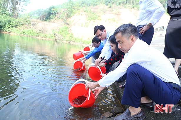 Hà Tĩnh thả 1,2 tấn cá tái tạo nguồn lợi thủy sản