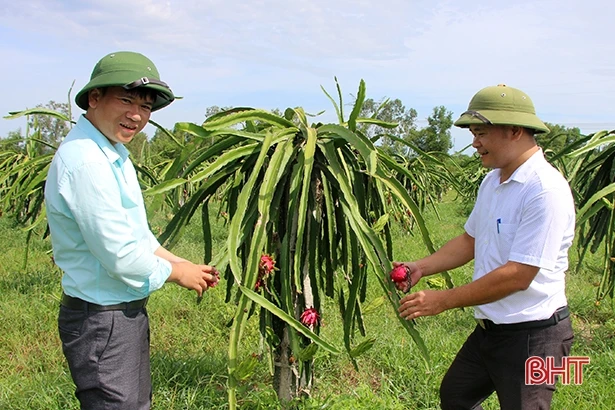 Các địa phương tham quan, kiểm tra chéo công tác xây dựng nông thôn mới