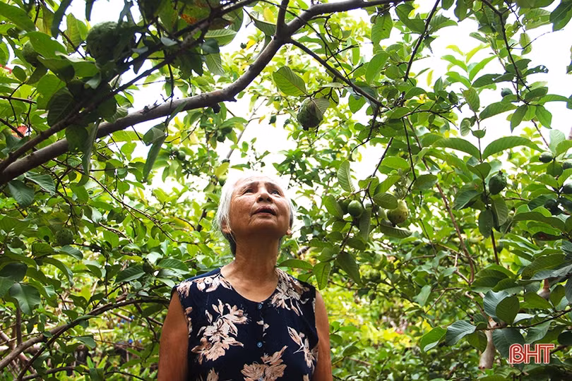 Xao xuyến mùa sang…