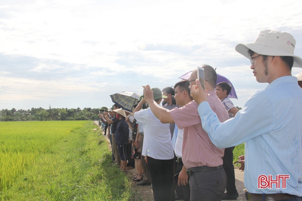 Xem máy bay không người lái phun thuốc trừ sâu tại Hà Tĩnh