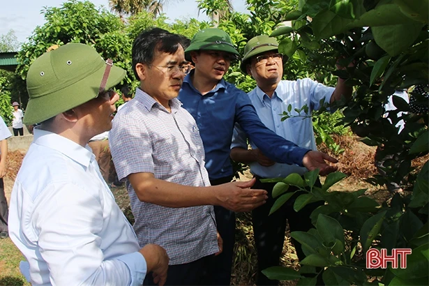 Các địa phương tham quan, kiểm tra chéo công tác xây dựng nông thôn mới