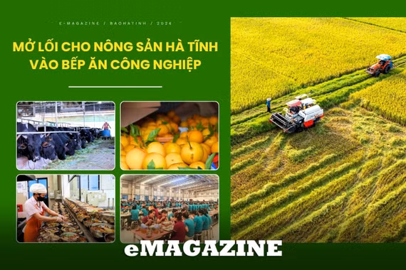 Bài 1: Cung cầu thực phẩm - "gần mà xa"