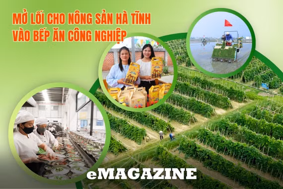 Bài 2: Tái cấu trúc sản xuất, hoàn thiện chuỗi cung ứng
