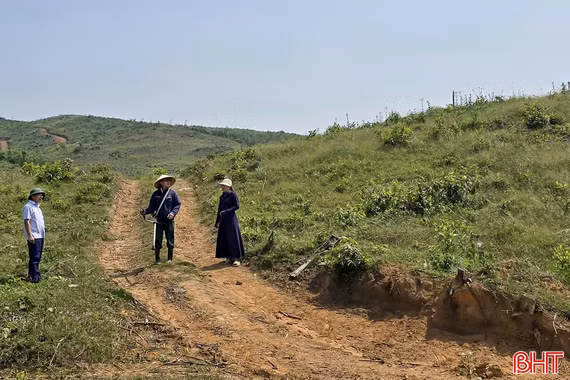 Giá giống tăng gấp đôi, hàng nghìn hecta đất trồng keo, tràm lỡ “thời điểm vàng”