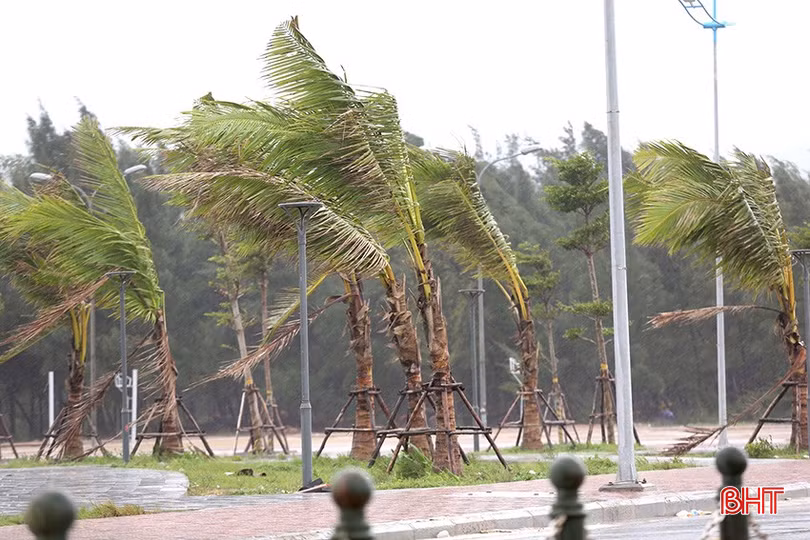 Trong sáng nay, trên địa bàn thị xã Kỳ Anh có mưa lớn kèm gió mạnh.