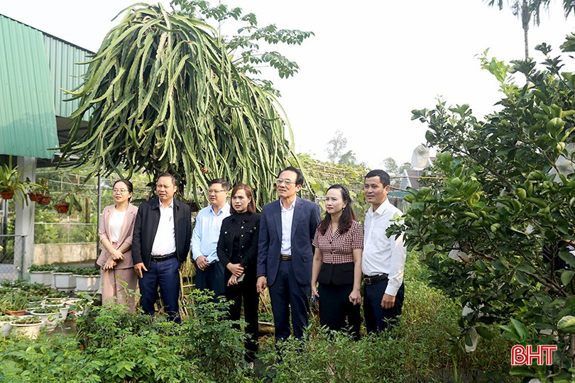 Trước đó, đoàn công tác đã đi khảo sát thực tế tại một số mô hình điển hình "Dân vận khéo" trên địa bàn. Trong ảnh: Đoàn khảo sát tại mô hình vườn mẫu tại xã Thượng Lộc. bqbht_br_a3.jpg