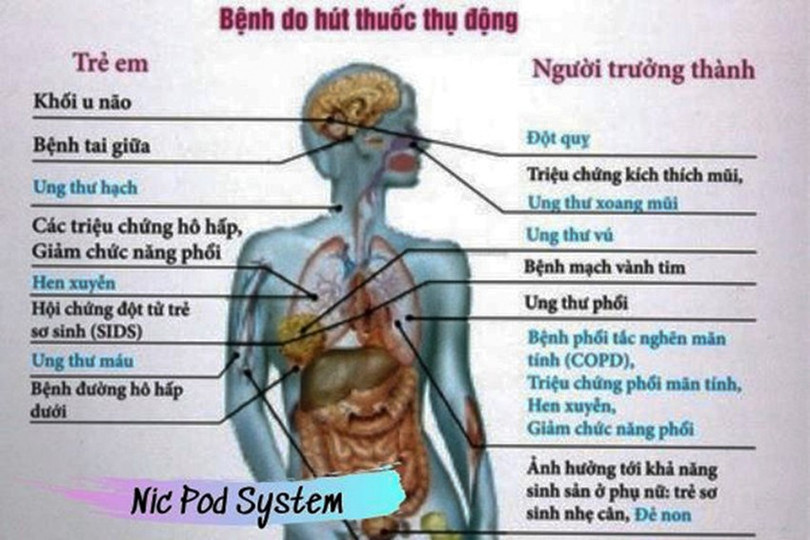 Những người hít khói thuốc thụ động cũng có nguy cơ mắc các bệnh giống như người hút thuốc. (Ảnh minh họa từ Internet). image-6.jpg