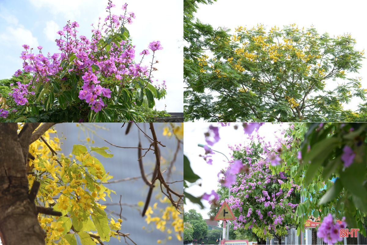 Thiết kế chưa có tên-2.jpg