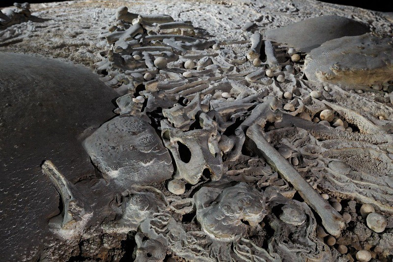 Ngất ngây với vẻ đẹp của “Bức tường Việt Nam” trong hang Sơn Đoòng