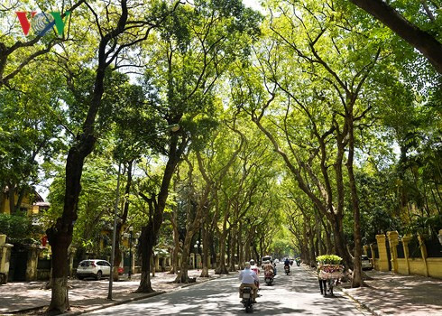 Tháng 8, có thể phải chịu 1-2 cơn bão, áp thấp nhiệt đới