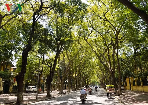 Tháng 8, có thể phải chịu 1-2 cơn bão, áp thấp nhiệt đới