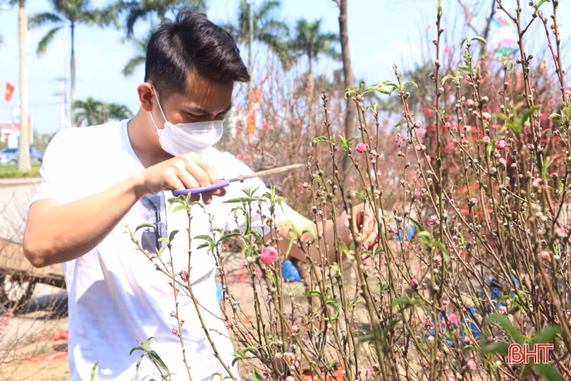 Nghề “chở tết về nhà” thu nhập khá những ngày cuối năm ở Hà Tĩnh