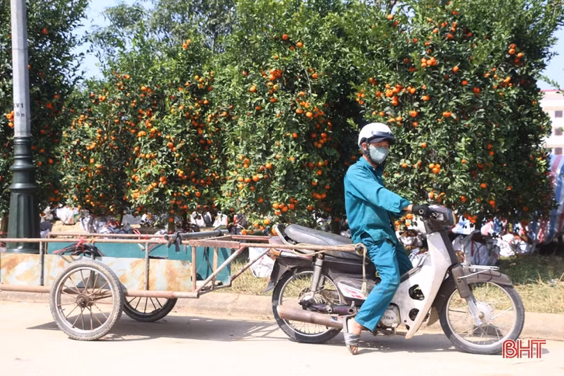 Nghề “chở tết về nhà” thu nhập khá những ngày cuối năm ở Hà Tĩnh