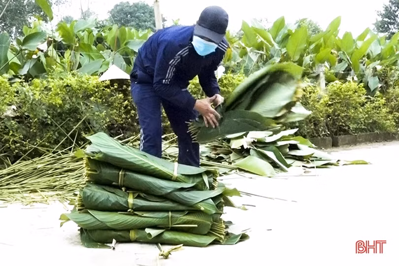 Tất bật ngày cuối năm tại làng lá dong lớn nhất Hà Tĩnh