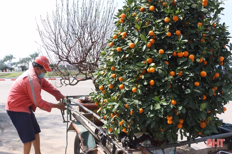 Nghề “chở tết về nhà” thu nhập khá những ngày cuối năm ở Hà Tĩnh