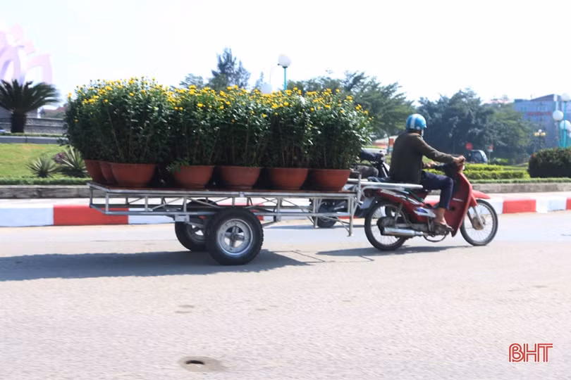 Nghề “chở tết về nhà” thu nhập khá những ngày cuối năm ở Hà Tĩnh