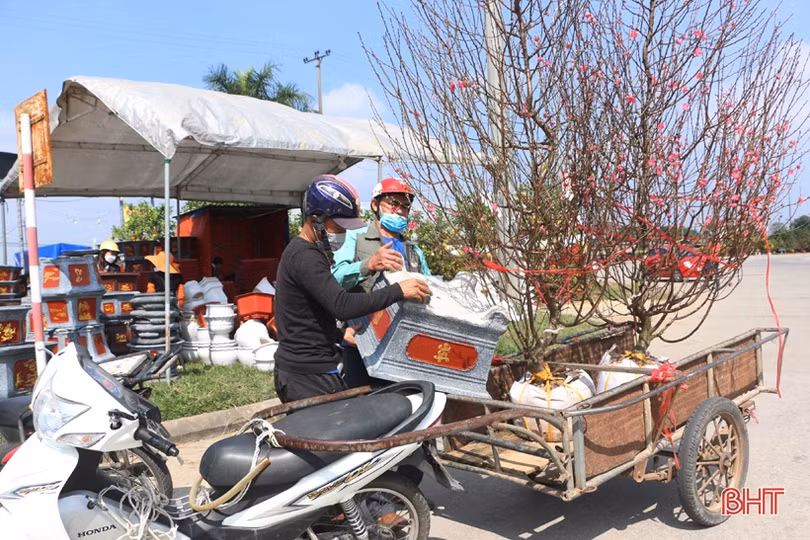 Nghề “chở tết về nhà” thu nhập khá những ngày cuối năm ở Hà Tĩnh