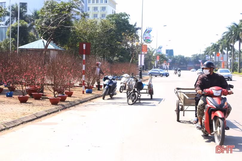 Nghề “chở tết về nhà” thu nhập khá những ngày cuối năm ở Hà Tĩnh