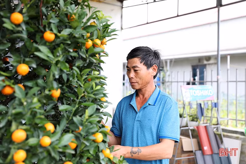 Xuân an vui trên khu tái định cư của thị xã phía Nam Hà Tĩnh