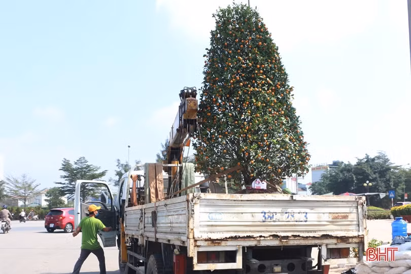 Nghề “chở tết về nhà” thu nhập khá những ngày cuối năm ở Hà Tĩnh