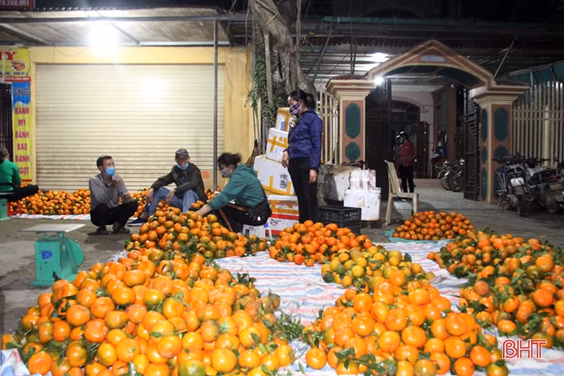 Trắng đêm mưu sinh ở chợ đặc sản cam bù Hà Tĩnh