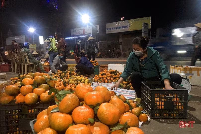 Trắng đêm mưu sinh ở chợ đặc sản cam bù Hà Tĩnh