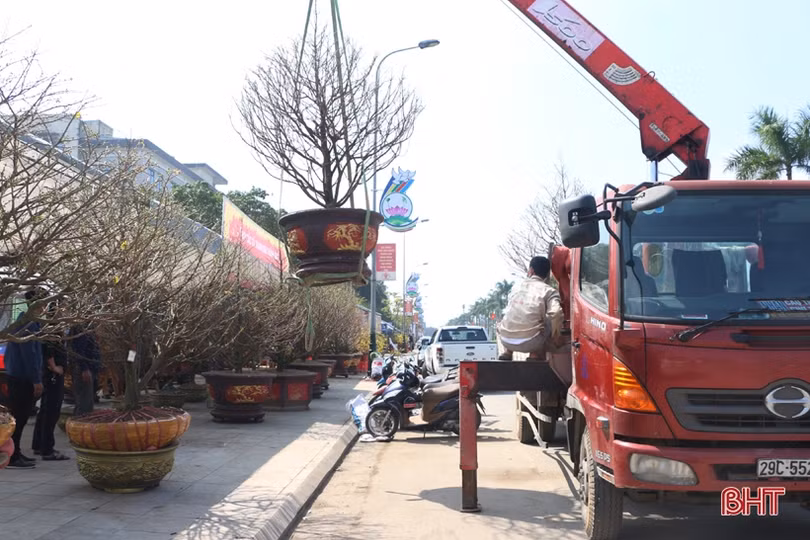 Nghề “chở tết về nhà” thu nhập khá những ngày cuối năm ở Hà Tĩnh
