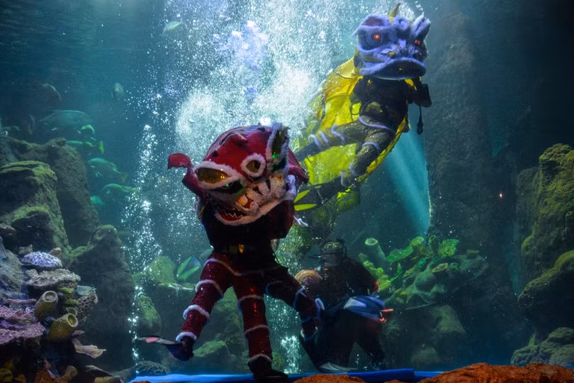 Rộn ràng không khí chuẩn bị đón tết Nguyên đán Nhâm Dần ở các nước