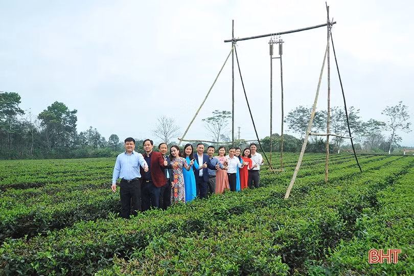 Đồi chè Hương Trà hút khách tham quan dịp tết
