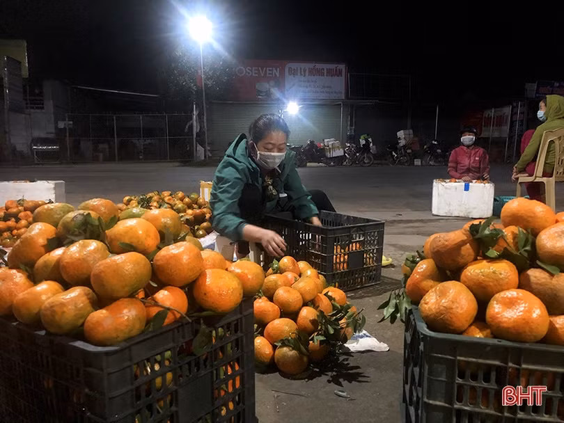 Trắng đêm mưu sinh ở chợ đặc sản cam bù Hà Tĩnh